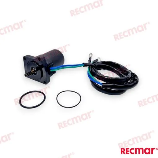 TRIM MOTOR