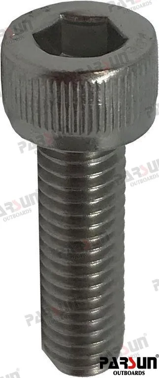SCREW M6X20