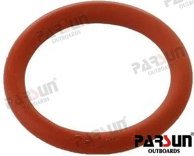 O-RING
