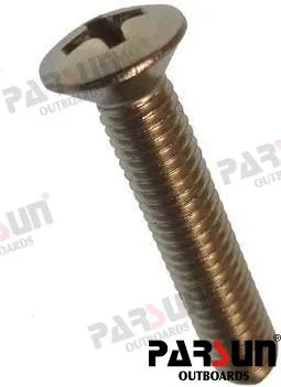 SCREW  M5X25