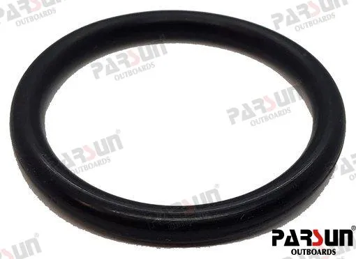 O-RING 24.7X3.1
