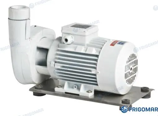 FANCOIL CIRCUIT PUMP C(M) 22E (0,55 KW)