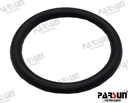 O-RING