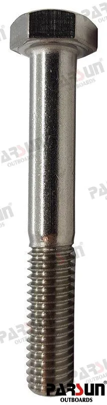 BOLT  HEXAGON M8X55