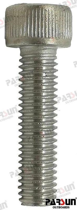 SCREW  M5X20 (BLACK)