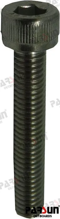 INNER HEXAGON BOLT M6X35