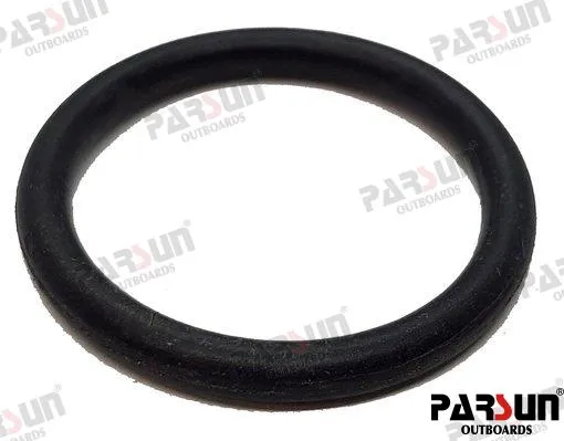 O-RING