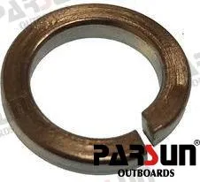 WASHER  SPRING 8