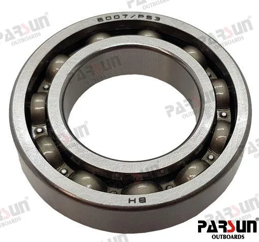 BEARING 6007