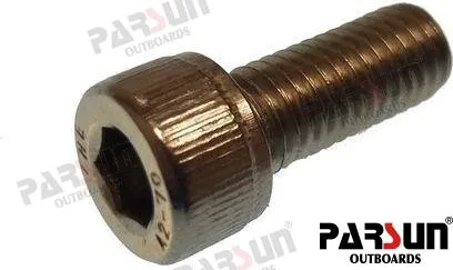 SCREW M8X20