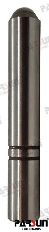 PLUNGER, SHIFT